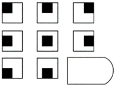 A raven test matrix example